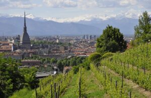 Dalle Alpi al Cuore del Piemonte: Notizie e Curiosità